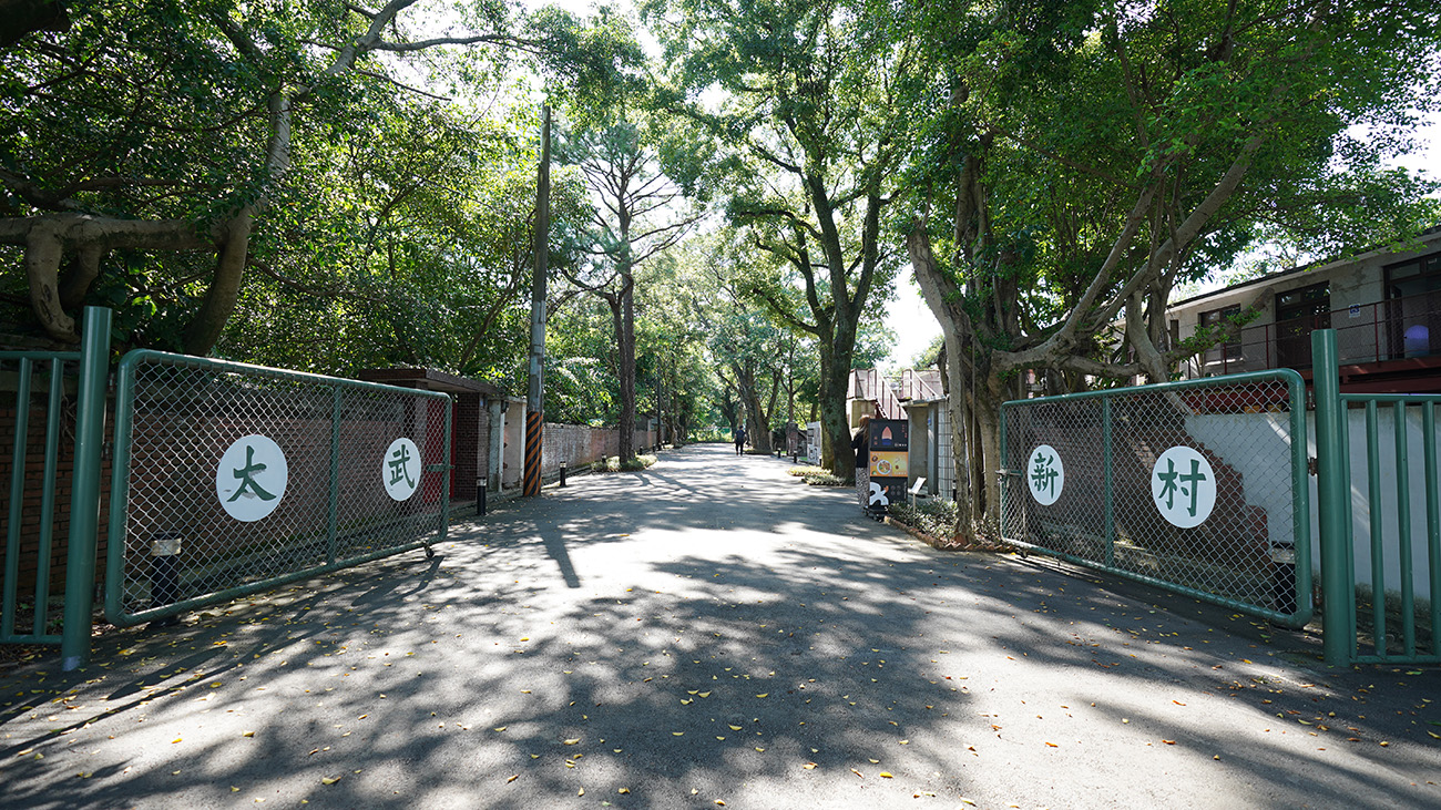 Taiwu New Village